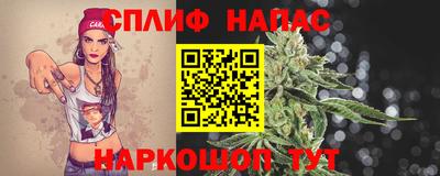 мдпв Обь
