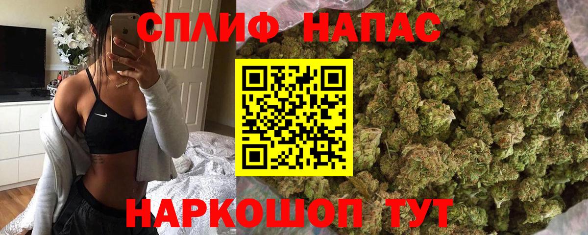 Шишки марихуана семена Алейск